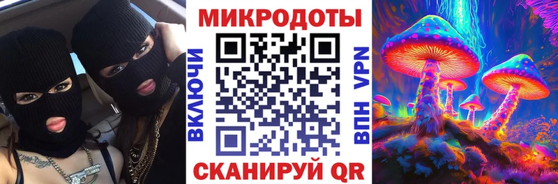 купить   Белый  Галлюциногенные грибы Cubensis 